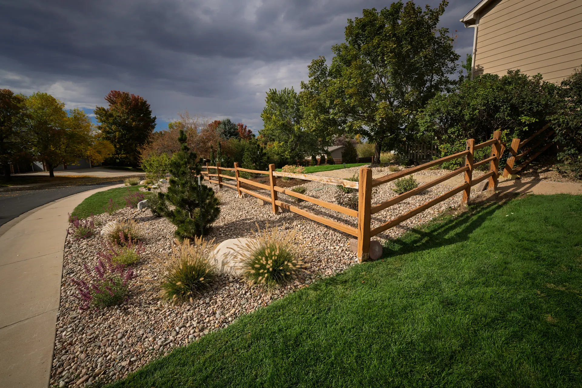 Frederick, Colorado Front yard xeriscape slope with river rock, ornamental grasses, purple flowering perennials, and a young pine behind a split rail fence along a curved sidewalk",Front Yard Xeriscape with Split Rail Fence,"Low-water front yard slope with river rock, grasses, and perennials along a split rail fence.","Front yard xeriscape in Colorado by The Landscape Company. A sloped corner bed of river rock with fountain grasses, flowering perennials, boulders, and a young pine replaces high-water turf along the sidewalk, finished with a wood split rail fence.