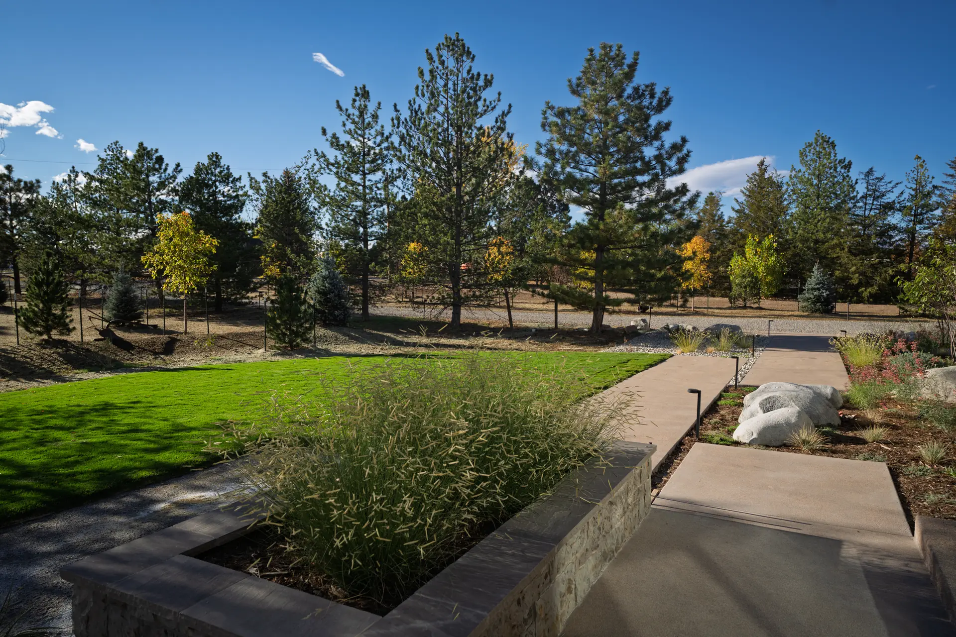 Broomfield, Colorado stacked stone raised planter with ornamental grass beside a concrete walkway with path lights, boulders, and a new lawn framed by mature pines, Stone Planter Wall and Concrete Walkway with Path Lighting,"Stacked stone raised planter, concrete walkway, and path lights on a Colorado property, Broomfield, Colorado.","Hardscape and landscape installation in Colorado by The Landscape Company. A stacked stone raised planter with a stone cap, broad concrete walkway with low-voltage path lights, boulder accents, mulched perennial beds, and new sod set against mature pines.